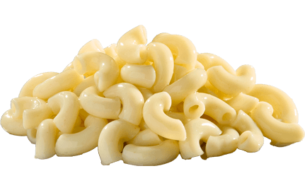 Cooked Macaroni